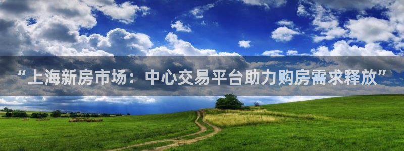 和记手游官网：“上海新房市场：中心交易平台助力购房需求释放”