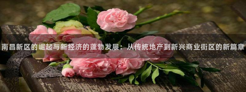 香港和记电信官网：南昌新区的崛起与新经济的蓬勃发展：从传统地