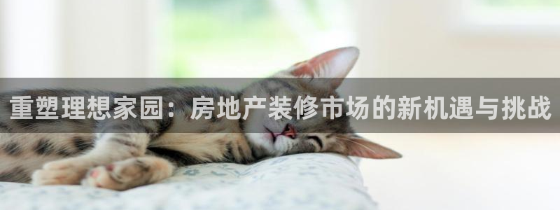 和记电讯three官网：重塑理想家园：房地产装修市场的新机遇