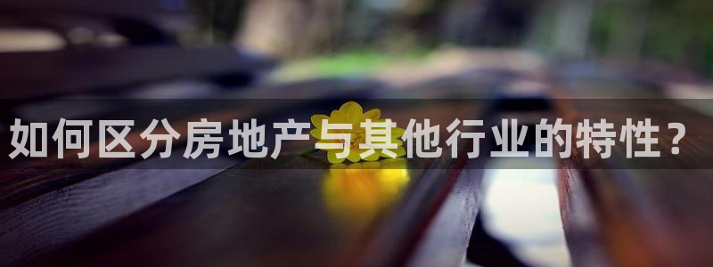 和记怡情视频在线官网：如何区分房地产与其他行业的特性？