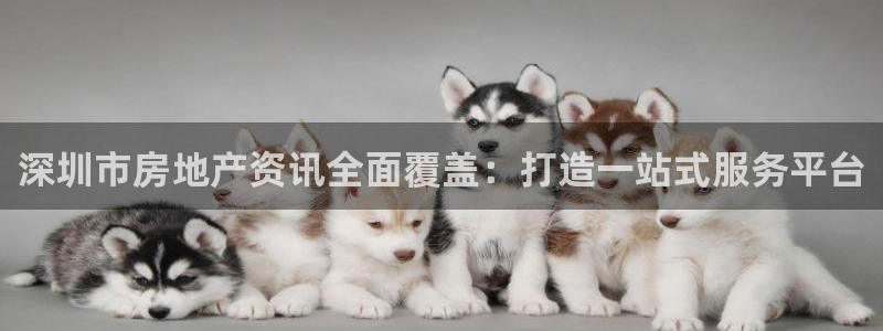 和记黄浦官网：深圳市房地产资讯全面覆盖：打造一站式服务平台