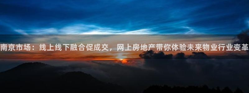 和记官网登录入口：南京市场：线上线下融合促成交，网上房地产带