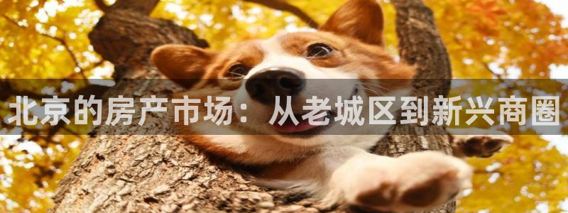 和记188官网：北京的房产市场：从老城区到新兴商圈