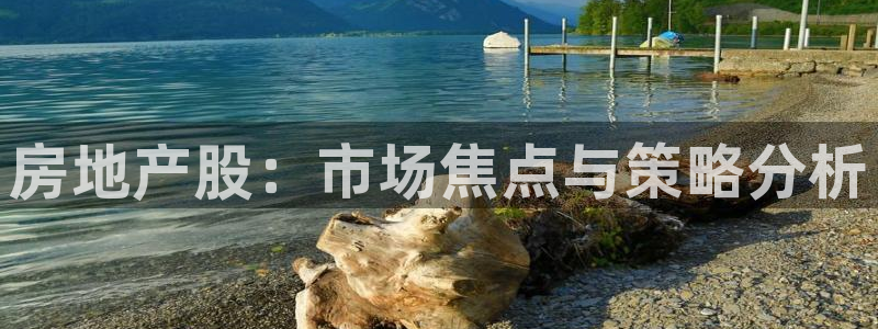 和记怡情博物官网：房地产股：市场焦点与策略分析