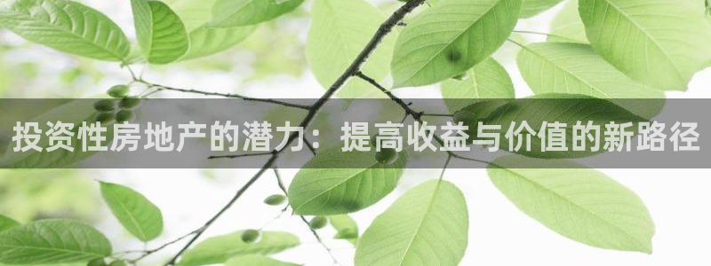 菲律宾和记官网：投资性房地产的潜力：提高收益与价值的新路径