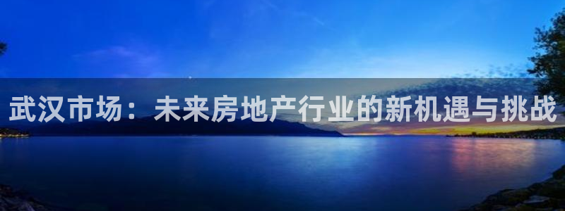 和记娱乐首页官网：武汉市场：未来房地产行业的新机遇与挑战