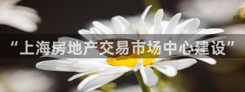 和记3国际万能卡官网：“上海房地产交易市场中心建设”