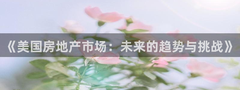 和记官网h88：《美国房地产市场：未来的趋势与挑战》