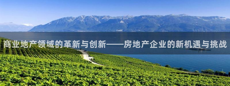和记黄埔武汉官网：商业地产领域的革新与创新——房地产企业的新