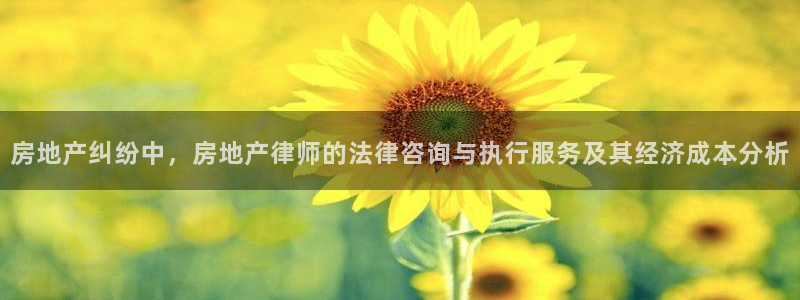 和记娱乐唯一官网：房地产纠纷中，房地产律师的法律咨询与执行服