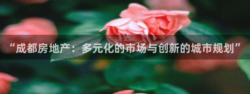 和行记义工网官网：“成都房地产：多元化的市场与创新的城市规划