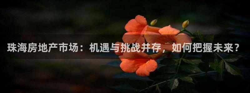 和记娱安全h88285官网：珠海房地产市场：机遇与挑战并存，