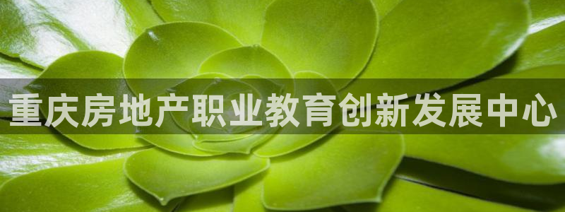 和记黄埔官网攻略：重庆房地产职业教育创新发展中心