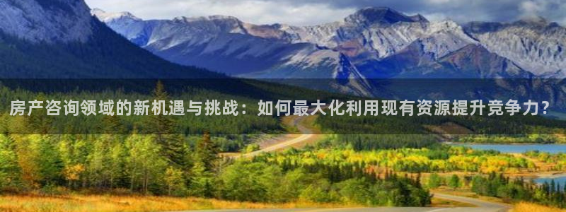和记黄埔官网攻略：房产咨询领域的新机遇与挑战：如何最大化利用