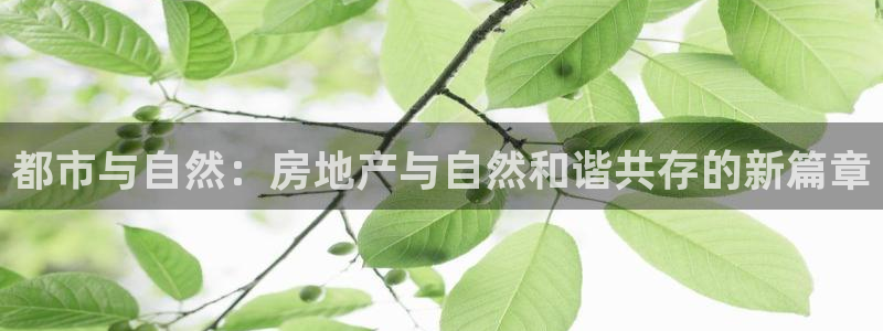 和记混凝土官网：都市与自然：房地产与自然和谐共存的新篇章