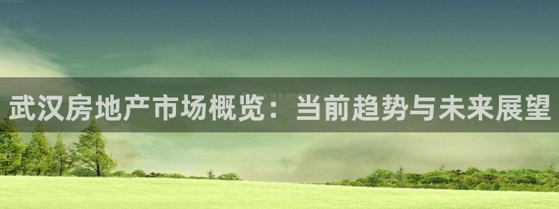 和记黄埔上海官网：武汉房地产市场概览：当前趋势与未来展望