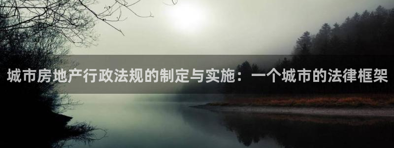 和记黄埔 官网：城市房地产行政法规的制定与实施：一个城市的法