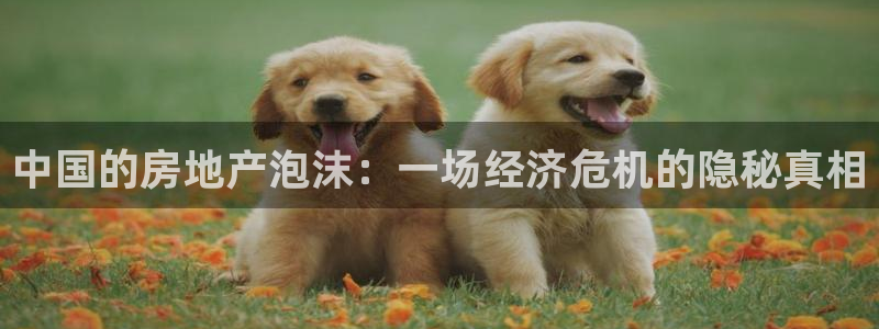 和记188官网：中国的房地产泡沫：一场经济危机的隐秘真相