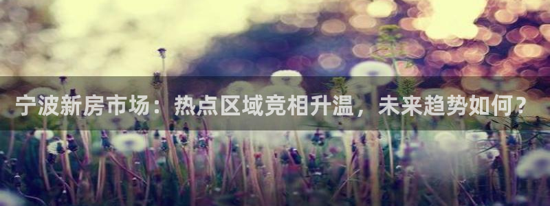 和记黄埔官网教育：宁波新房市场：热点区域竞相升温，未来趋势如