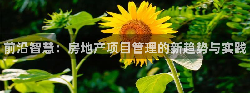 和记娱安全h88285官网：前沿智慧：房地产项目管理的新趋势