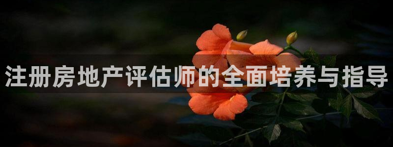 和记平台网站官网：注册房地产评估师的全面培养与指导