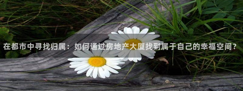 武汉和记黄埔官网：在都市中寻找归属：如何通过房地产大厦找到属