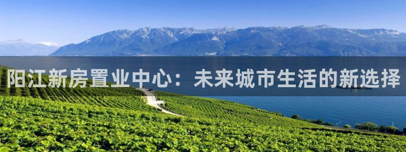 和记3国际万能卡官网：阳江新房置业中心：未来城市生活的新选择