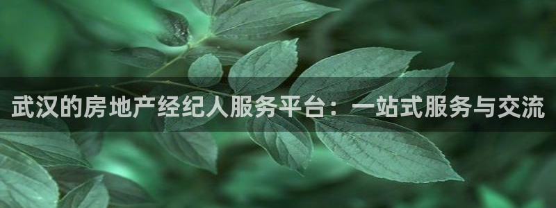 和记黄埔m 官网