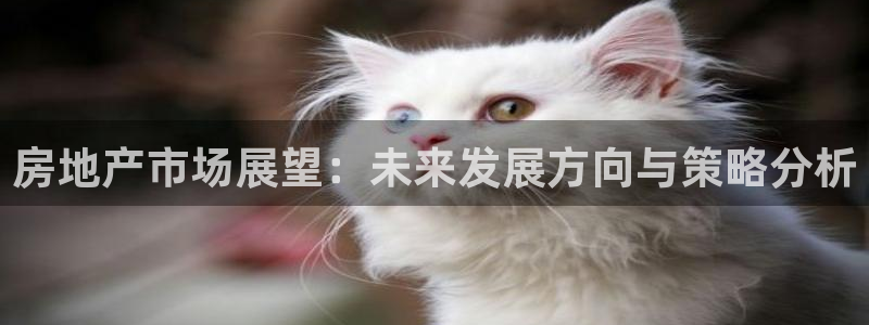和记娱实惠h88285官网：房地产市场展望：未来发展方向与策