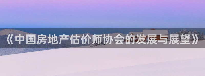 和记混凝土官网：《中国房地产估价师协会的发展与展望》