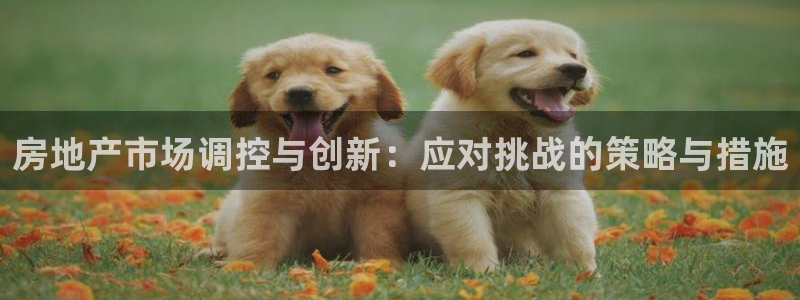 和记旗舰官网：房地产市场调控与创新：应对挑战的策略与措施