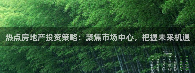 和记娱乐怡情博官网：热点房地产投资策略：聚焦市场中心，把握未