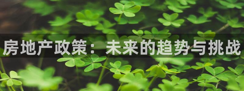 和记电讯 官网：房地产政策：未来的趋势与挑战