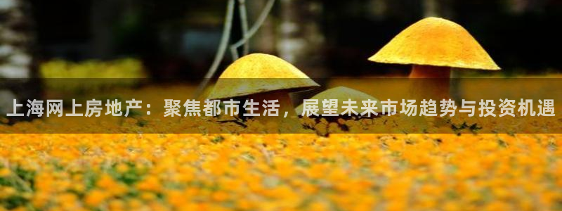 h88和记官网：上海网上房地产：聚焦都市生活，展望未来市场趋