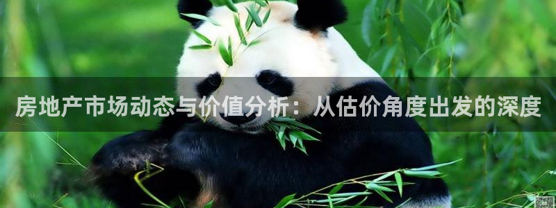 和记备用网官网开户：房地产市场动态与价值分析：从估价角度出发