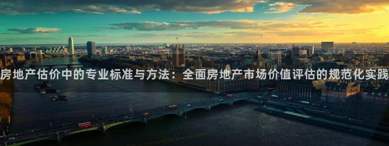 和记黄埔m 官网：房地产估价中的专业标准与方法：全面房地产市