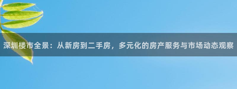 和记娱乐app官网登录：深圳楼市全景：从新房到二手房，多元化