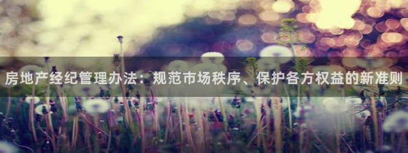 和记官网进入：房地产经纪管理办法：规范市场秩序、保护各方权益