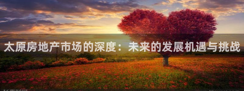 和记官网客服app：太原房地产市场的深度：未来的发展机遇与挑