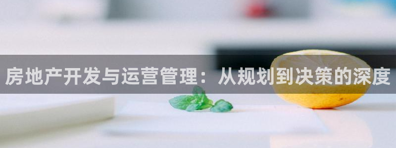 香港和记3hk官网：房地产开发与运营管理：从规划到决策的深度