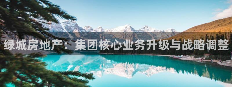 香港和记集团官网：绿城房地产：集团核心业务升级与战略调整