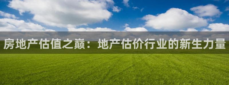 h88和记官网登录：房地产估值之巅：地产估价行业的新生力量