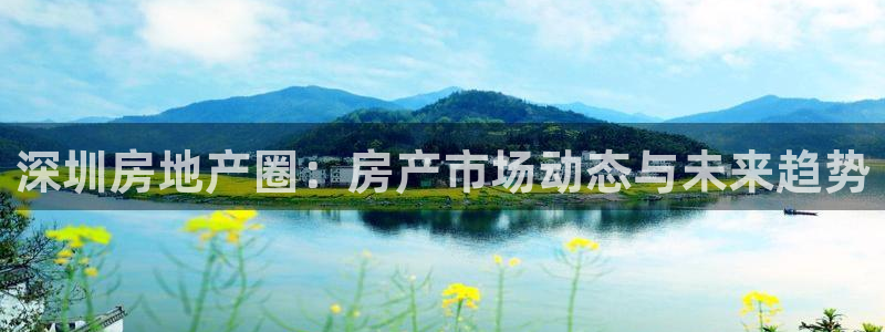 和记官网h88：深圳房地产圈：房产市场动态与未来趋势