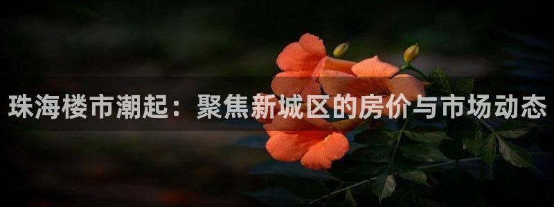 3和记官网：珠海楼市潮起：聚焦新城区的房价与市场动态