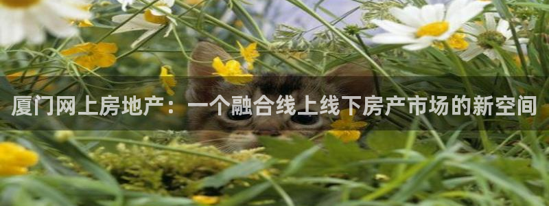 和记环球电讯官网：厦门网上房地产：一个融合线上线下房产市场的