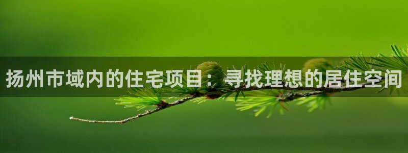 果博官网和记：扬州市域内的住宅项目：寻找理想的居住空间