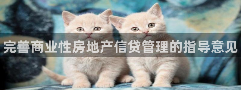 菲律宾和记官网：完善商业性房地产信贷管理的指导意见