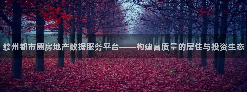 元和记官网：赣州都市圈房地产数据服务平台——构建高质量的居住