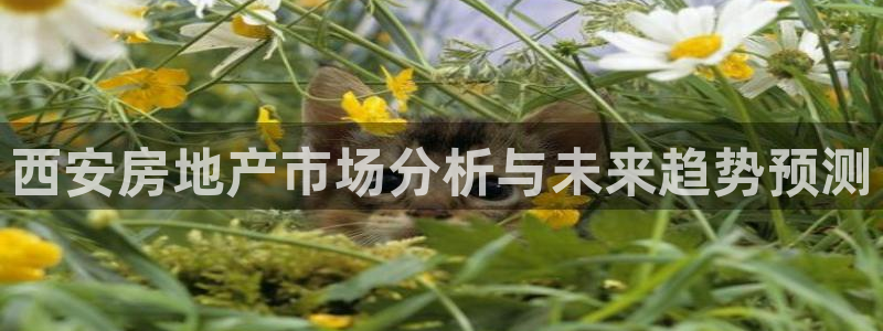 和记娱真好h88285官网：西安房地产市场分析与未来趋势预测