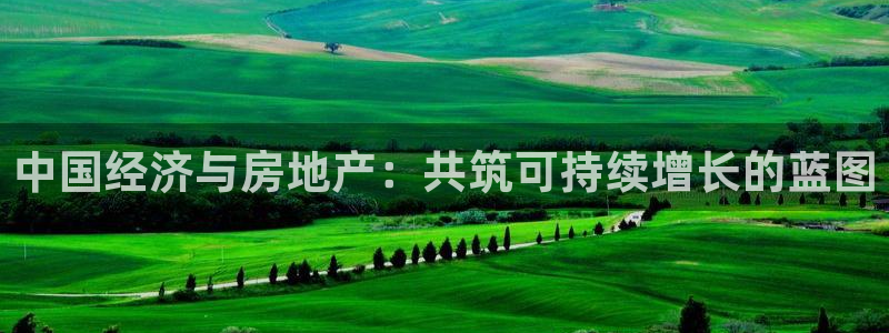 和记娱乐怡情官网：中国经济与房地产：共筑可持续增长的蓝图